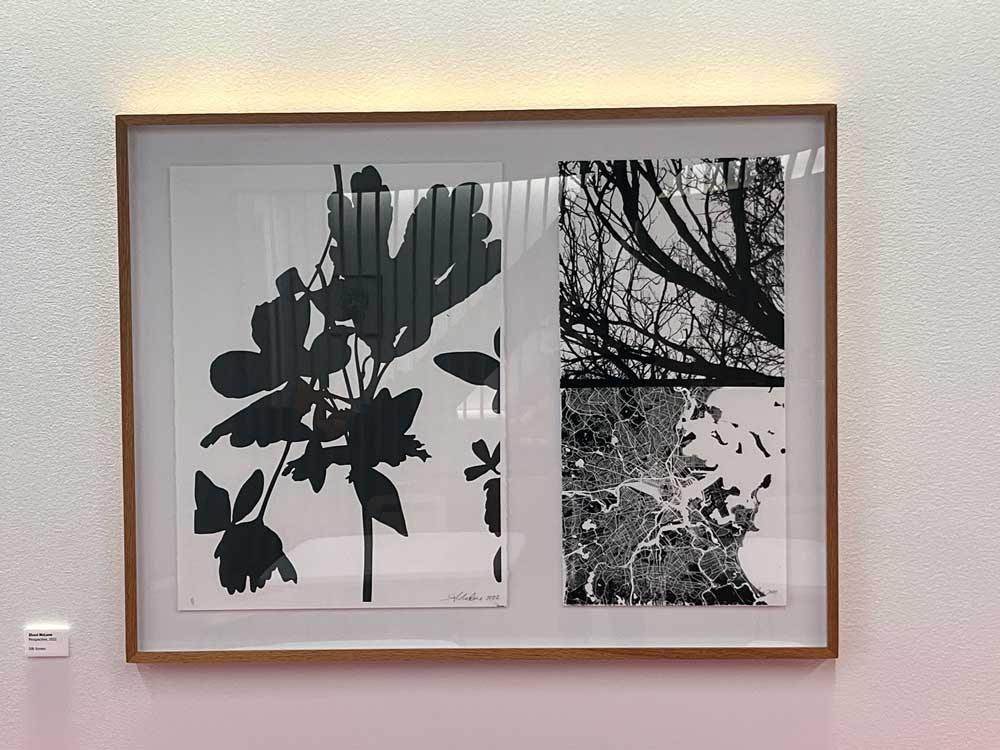 black and white framed prints on a wall in office kitchen