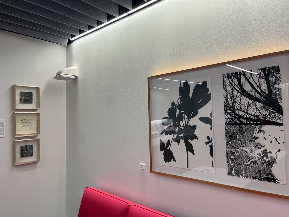 black and white framed prints on a wall in office kitchen