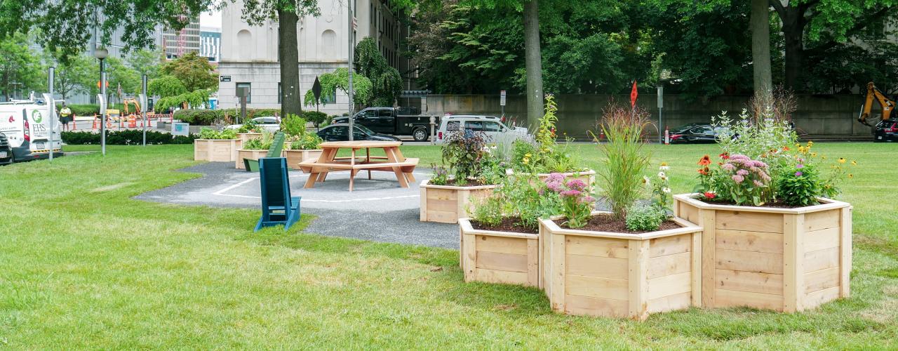 Garden