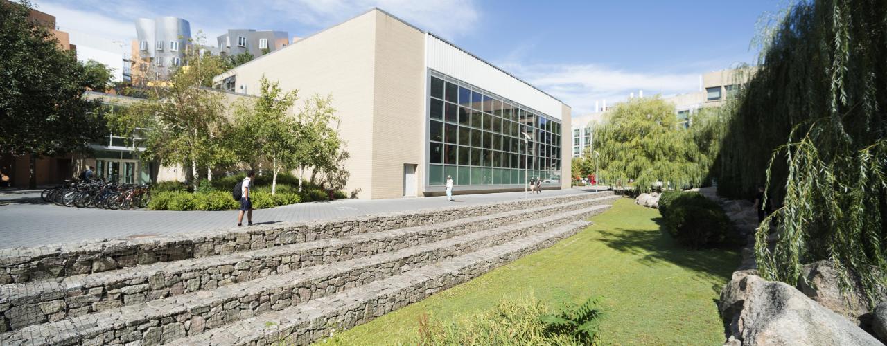 Bioswale