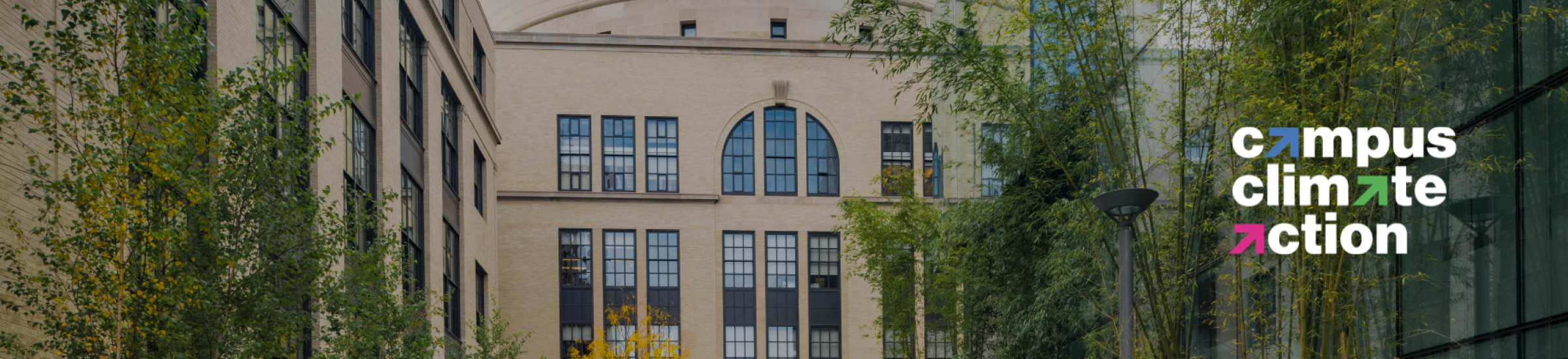 view of pocket garden behind building 12