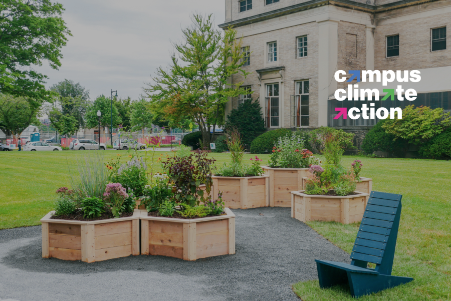 planter boxes and seating
