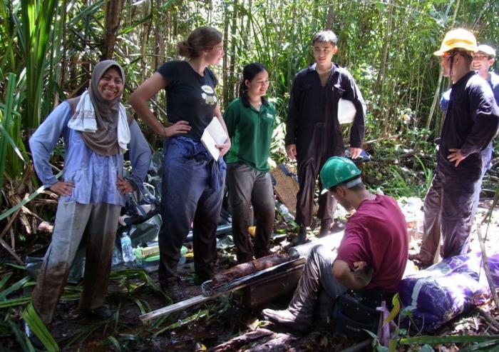 Researchers have found one of the last undisturbed tropical peat forests, in the nation of Brunei on the island of Borneo. Photo: Courtesy of the researchers