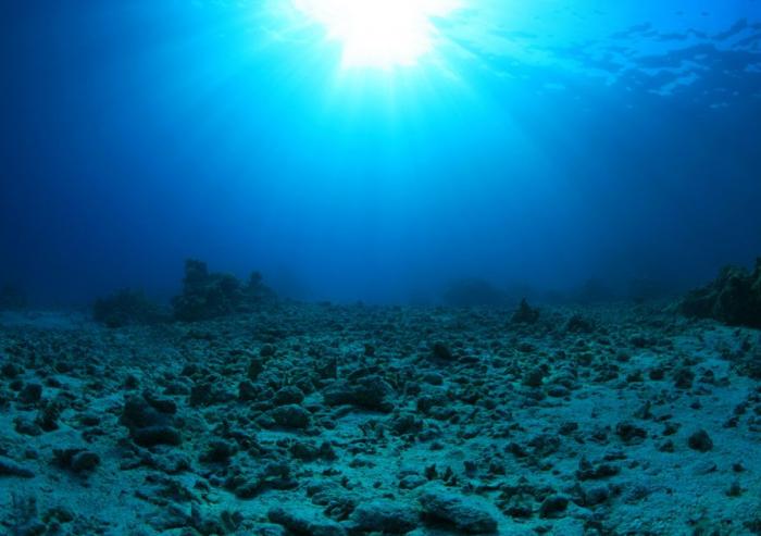 When carbon emissions pass a critical threshold, it can trigger a spike-like reflex in the carbon cycle, in the form of severe ocean acidification that lasts for 10,000 years, according to a new MIT study.Stock image