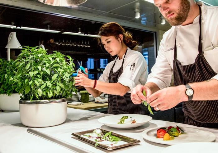 After piloting its smart microgardening system in Boston homes and restaurants, and following a successful Kickstarter campaign last fall, SproutsIO is ramping up production and hitting the shelves in a few months.
Courtesy of SproutsIO Inc. After piloting its smart microgardening system in Boston homes and restaurants, and following a successful Kickstarter campaign last fall, SproutsIO is ramping up production and hitting the shelves in a few months.
Courtesy of SproutsIO Inc.