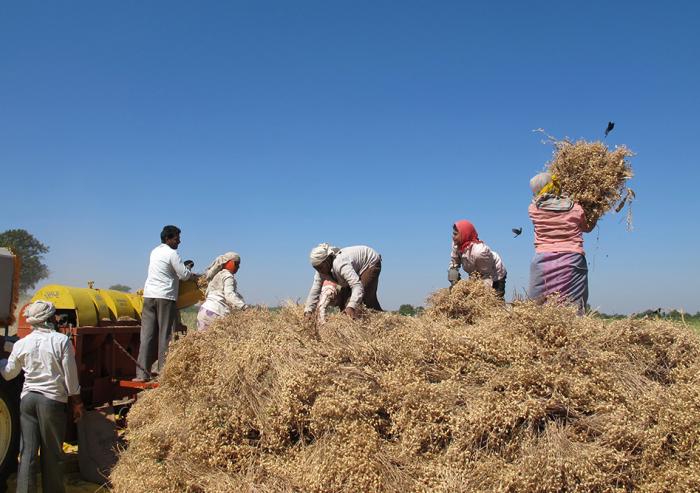 After harvest, farmers worldwide generally burn the waste that remains, creating dangerous levels of toxic haze and wasting potentially valuable resources. The MIT spinoff company Takachar is providing technology that can be used i...
After harvest, farmers worldwide generally burn the waste that remains, creating dangerous levels of toxic haze and wasting potentially valuable resources. The MIT spinoff company Takachar is providing technology that can be used i...