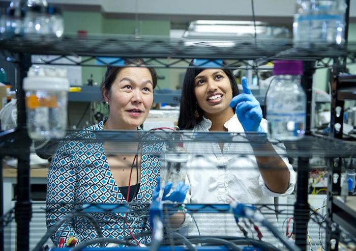 Evelyn Wang (left) and Heena Mutha have developed a nondestructive method of quantifying the detailed characteristics of carbon nanotube samples — a valuable tool for optimizing these materials for use as electrodes in a variety of practica...