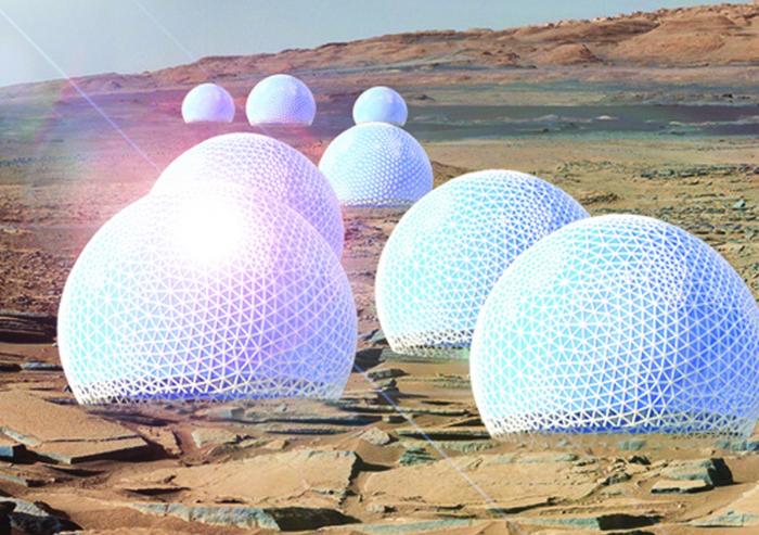 An MIT team won first place for urban design with the Redwood Forest, a series of woodsy habitats enclosed in open, public domes that would reside on the Martian surface. Image courtesy of Valentina Sumini.