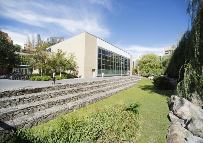 Bioswale Bioswale