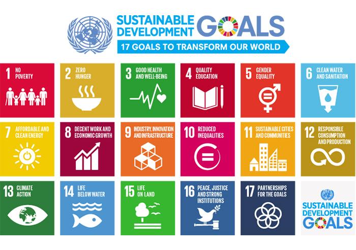 The United Nations' SDG's