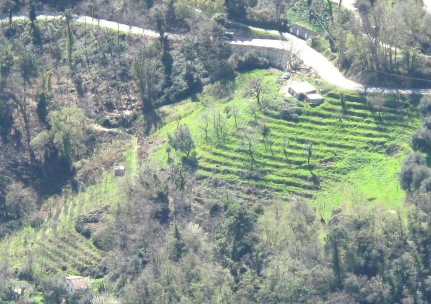 Abandoned croplands represent an opportunity for carbon sequestration, but more research is needed to identify the most promising areas.
Photo: Tangopaso/Wikimedia Commons
Abandoned croplands represent an opportunity for carbon sequestration, but more research is needed to identify the most promising areas.
Photo: Tangopaso/Wikimedia Commons