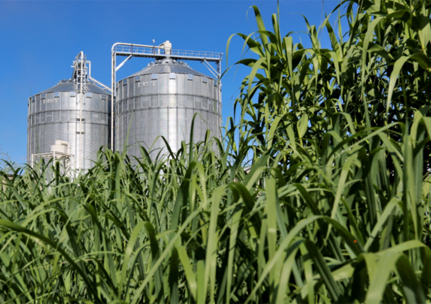 A study led by MIT Center for Sustainability Science and Strategy researchers shows that there is enough land to support efforts to cap global warming at 1.5 degrees Celsius while addressing competing needs for long-term food security and ecosystem health. A study led by MIT Center for Sustainability Science and Strategy researchers shows that there is enough land to support efforts to cap global warming at 1.5 degrees Celsius while addressing competing needs for long-term food security and ecosystem health.
