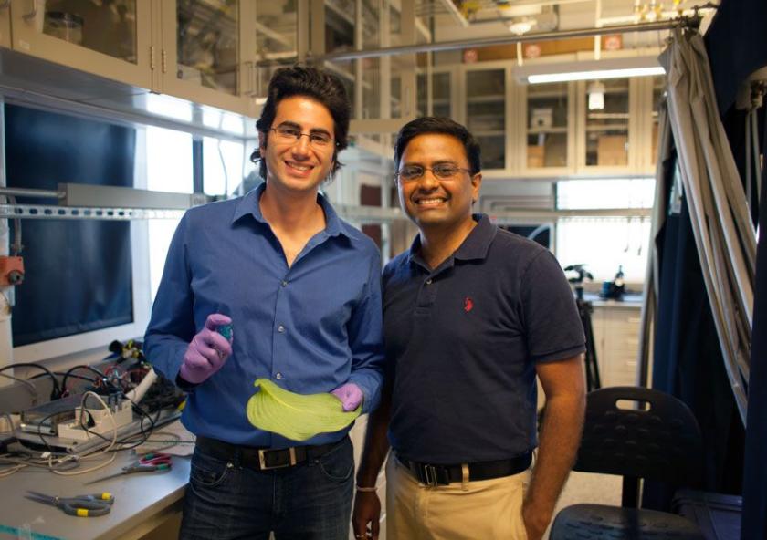 A team of researchers, including graduate student Maher Damak (left) and associate professor of mechanical engineering Kripa K. Varanasi, have found a way to drastically cut down on the amount of pesticide liquid that bounces off plants.