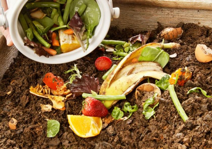 A national study by MIT researchers provides one of the first in-depth looks at the characteristics of places that have adopted food recycling, revealing several new facts in the process. 