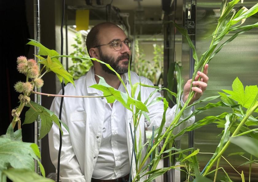 In the Marelli Lab at MIT, Giorgio Rizzo develops sustainable seed coatings using natural materials to boost plant resilience and reduce the environmental impact of traditional fertilizers. In the Marelli Lab at MIT, Giorgio Rizzo develops sustainable seed coatings using natural materials to boost plant resilience and reduce the environmental impact of traditional fertilizers.