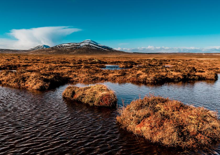 Researchers from MIT and Singapore have developed a mathematical analysis of how peat formations build and develop.
Photo: iStock
Researchers from MIT and Singapore have developed a mathematical analysis of how peat formations build and develop.
Photo: iStock