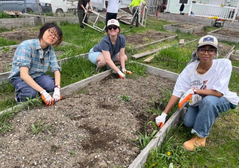 Left to right: Students Kaidi Liu, Zaynab Eltaib, and Olivia Fiol work a plot of urban farmland at The Common Good Co-Op.