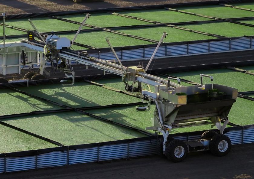 Fyto helps farmers grow plant-based feed and fertilizer using wastewater for a more sustainable, profitable food system. Fyto helps farmers grow plant-based feed and fertilizer using wastewater for a more sustainable, profitable food system.