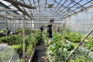 a woman walks among plants in a greenhouse