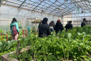 students browse in a green house