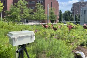 A heat sensor captures data in the Kendall/MIT Open Space. 