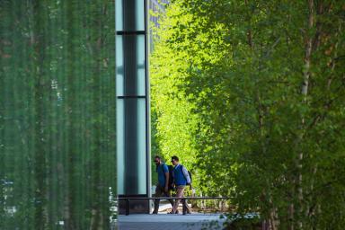 two people walk on a passageway surrounded by trees