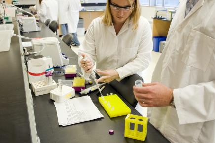 Labs Labs