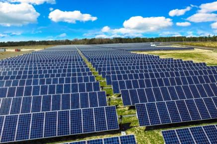 North Carolina Solar Farm 