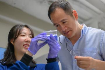 Based on theoretical and experimental studies, MIT engineers have shown that adding nanoparticles of certain ceramics to the metal walls of the vessel containing the reacting plasma inside a nuclear fusion reactor can protect the metal from damage, significantly extending its lifetime. Professor Ju Li (right) and postdoc So Yeon Kim (left) examine samples of the composite they have fabricated for their demonstrations.