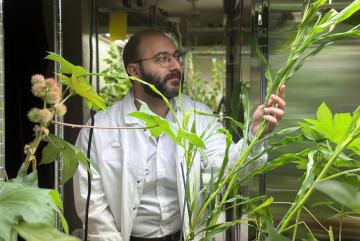 In the Marelli Lab at MIT, Giorgio Rizzo develops sustainable seed coatings using natural materials to boost plant resilience and reduce the environmental impact of traditional fertilizers.