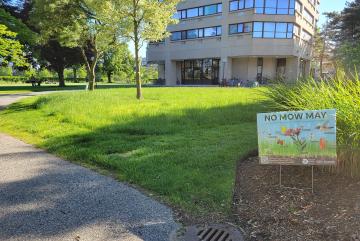 A mowed barrier around each project helped visitors know that areas of tall grass at No Mow sites are intentional.