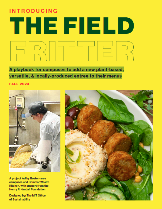 a report cover with images of a chef in a kitchen and fritters on a plate