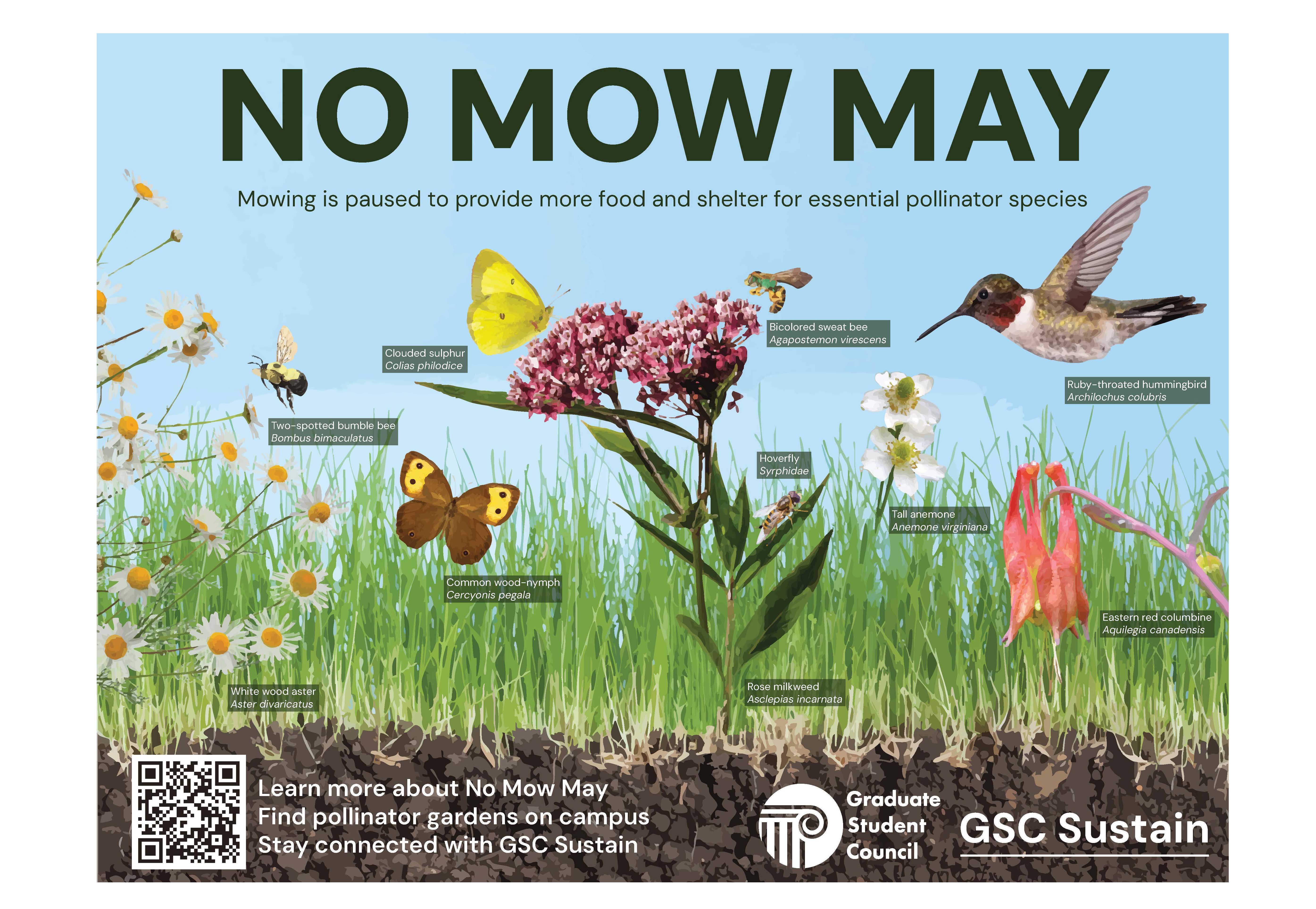 sign with "now mow may" text and image of pollinators
