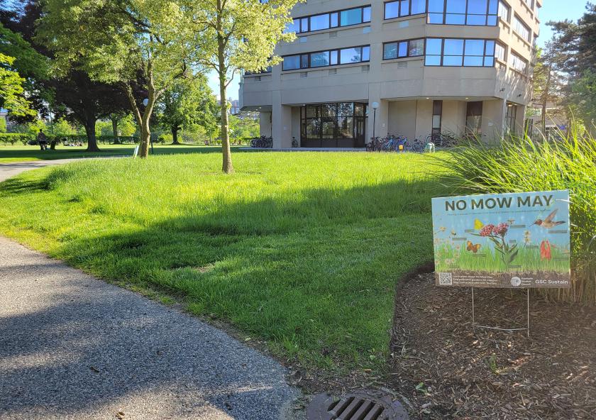 Sign that says No Mow May next to a lawn with tall grass