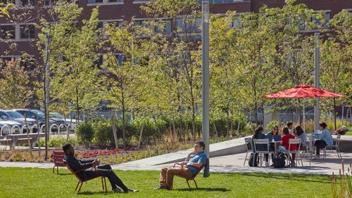people relax at chairs and tables in open green space