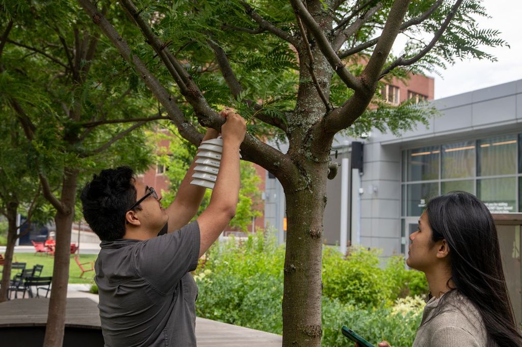 A student adjusts a temperature sensor on a tree while another student observes, in a green campus setting.