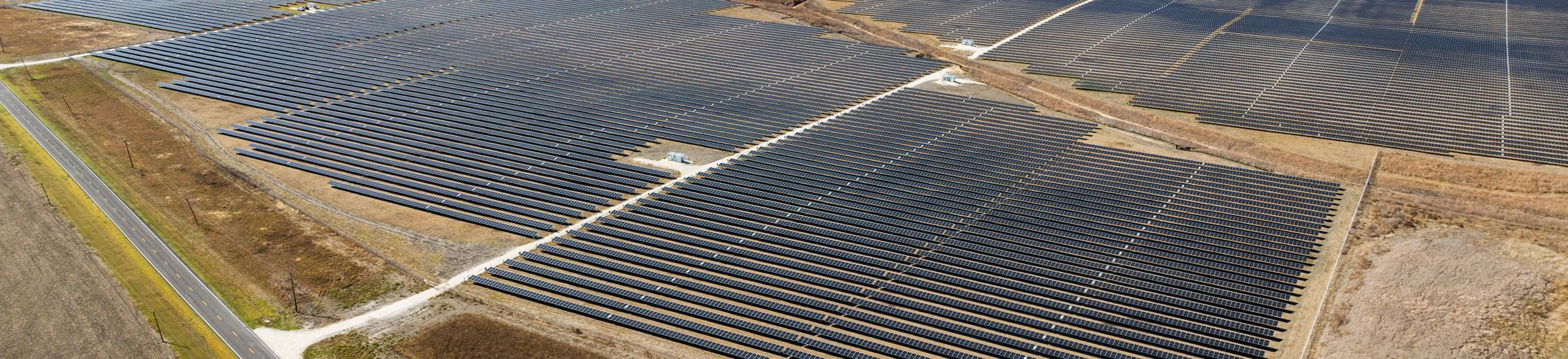 aerial image of thousands of solar panels and Big Elm