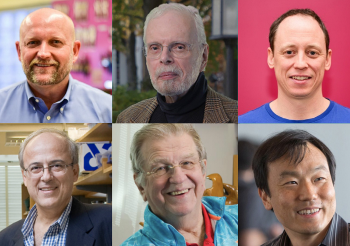
              MIT faculty who received 2021 J-WAFS Solutions grants include (top row, left to right) Daniel Frey, Leon Glicksman, Eric Verploegen; (bottom row, left to right) Greg Stephanopoulos, Anthony J. Sinskey, and Jongyoon Han.
          
