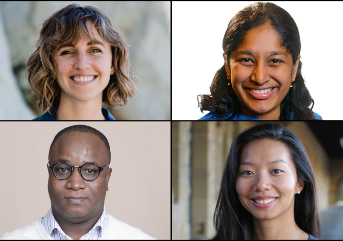 
              Clockwise from top left: Sara Beery, Priya Donti, Sherrie Wang, and Ericmoore Jossou are using advanced computational methods and tools to help find solutions for a range of climate and environmental issues. The new faculty member...