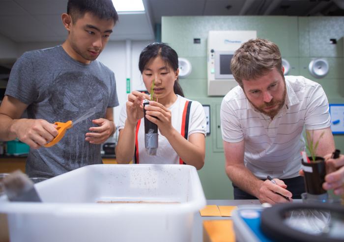 
              MIT Assistant Professor David Des Marais (right) is collaborating with Caroline Uhler (not pictured) of EECS and IDSS to find the genetic foundations of plant tolerance to the stresses of heat and drought.
              Photo...