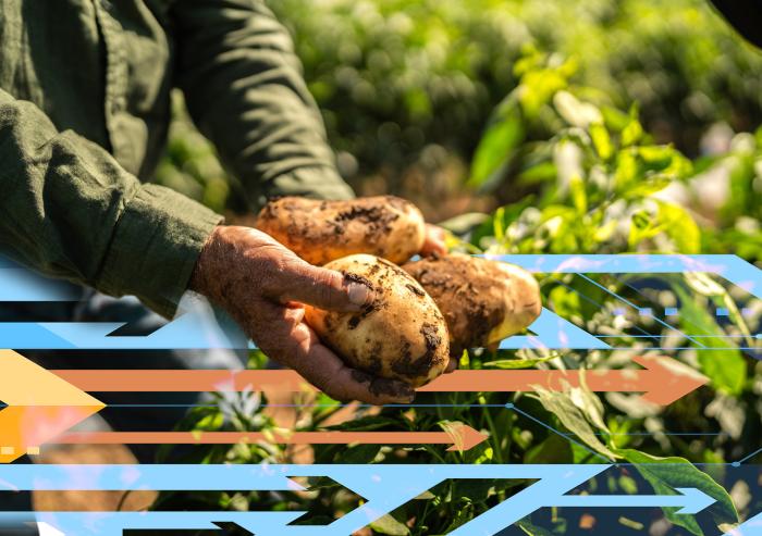 A new study focuses on forecasting future access to food, water, and energy in 2050.