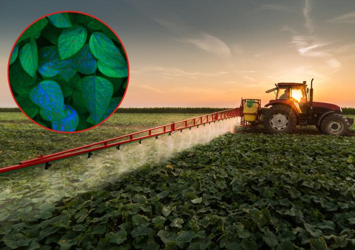 
              AgZen has developed a system for farming that can monitor exactly how much of the sprayed chemicals adheres to plants, in real time, as the sprayer drives through a field. 
              Image: Courtesy of the researchers. Edited b...