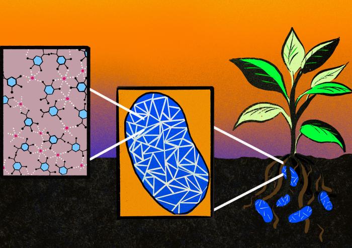 
              MIT chemical engineers devised a metal-organic coating that protects bacterial cells from damage without impeding their growth or function. These coated bacteria could make it much easier for farmers to deploy microbes as fertilizers...