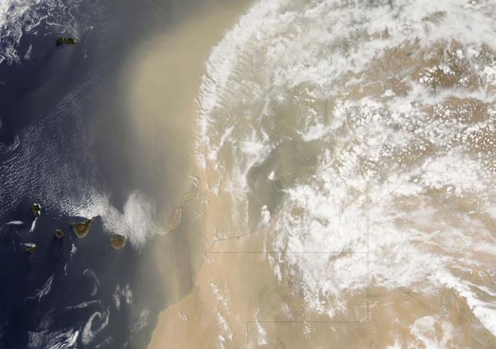 Dust blowing through the Sahara Desert in 2012. Researchers have found that the plume was far less dusty between 5,000 and 11,000 years ago, containing only half the amount of dust that is transported today.Image courtesy MODIS Rapid Respons...