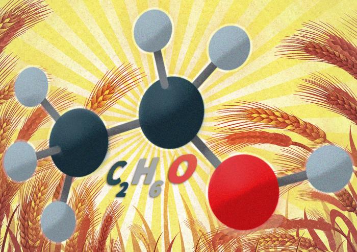 
              MIT researchers have found a way to achieve high yields of ethanol with different types of cellulosic feedstocks, including switchgrass, wheat straw, and corn stover.
              Image: MIT News, with images from iStockphoto.
      