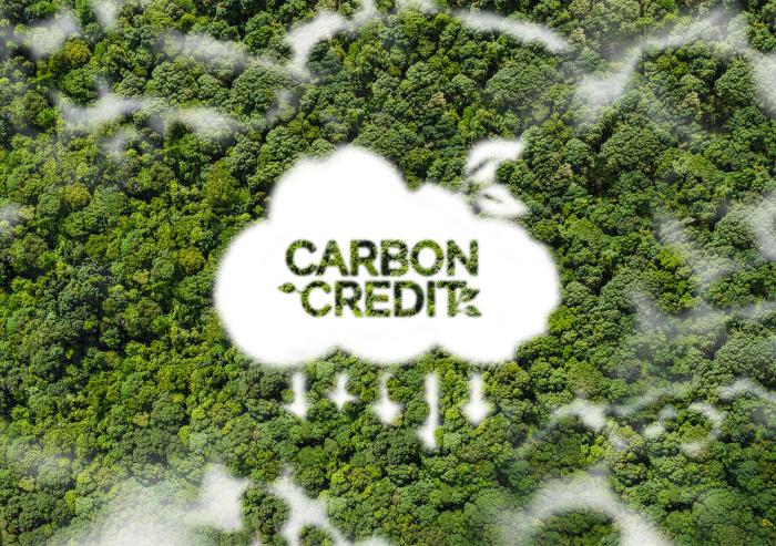 
              Clear, enforceable standards may make the difference in how effective carbon trading systems are in reducing global emissions.
              Credit: iStock
      