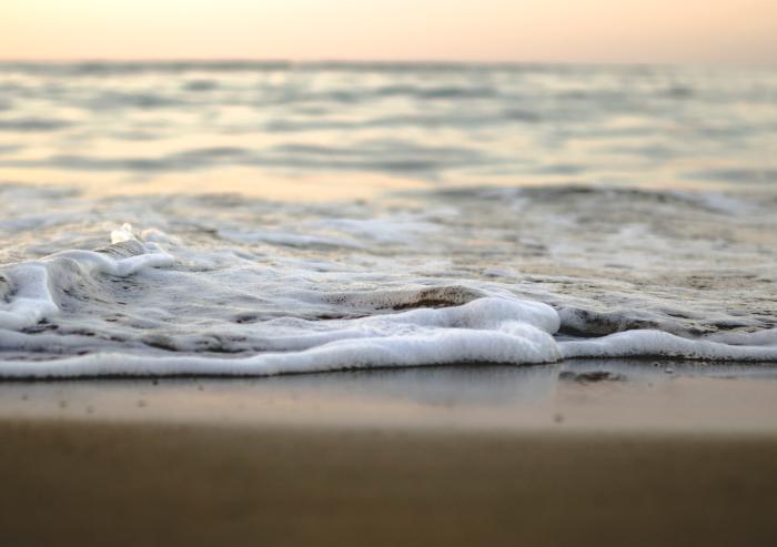 Climate-driven sea level rise is making freshwater ecosystems saltier, and MIT researchers have uncovered how that shift could reshape the microbial communities that sustain rivers and estuaries.