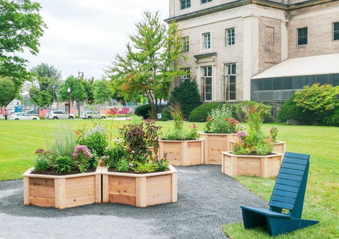 The Hive Garden, a first-of-its-kind pollinator garden at MIT, recently opened on Saxon Lawn.Photo: Effie Jia