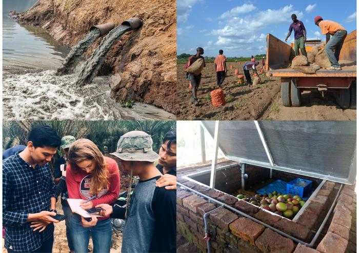 Agricultural productivity technologies for small-holder farmers; sustainable supply chain interventions in the palm oil industry; interventions that can provide clean water for cities and surrounding ecosystems — these are just a few of th...