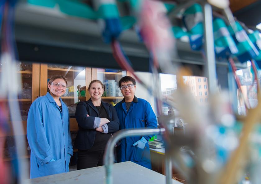 Professor Ariel Furst (center), undergraduate Rachel Ahlmark (left), postdoc Gang Fan (right), and their colleagues are employing biological materials, including DNA, to achieve the conversion of carbon dioxide to valuable products.
...
Professor Ariel Furst (center), undergraduate Rachel Ahlmark (left), postdoc Gang Fan (right), and their colleagues are employing biological materials, including DNA, to achieve the conversion of carbon dioxide to valuable products.
...
